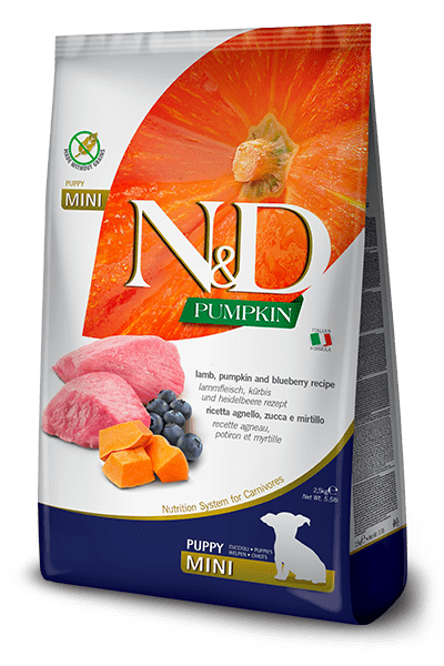 N&D Farmina pienso perros Puppy Grain Free Calabaza, Cordero y Arándanos
