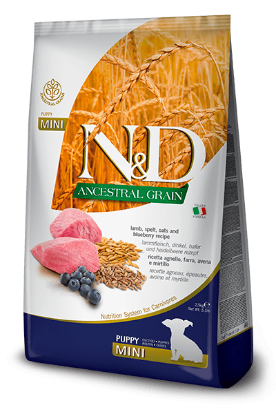 N&D Farmina pienso perros Puppy Ancestral Grain Cordero y Arándanos