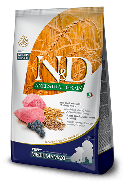 N&D Farmina pienso perros Puppy Ancestral Grain Cordero y Arándanos