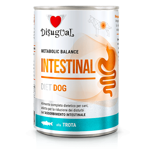 Disugual Metabolic Balance lata para perro Intestinal (varios sabores)