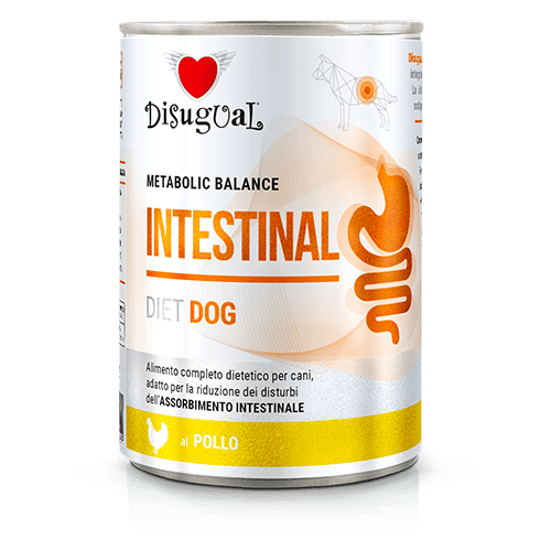 Disugual Metabolic Balance lata para perro Intestinal (varios sabores)