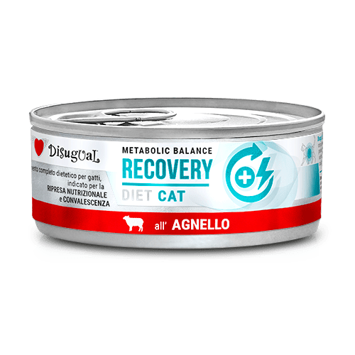 Disugual Metabolic Balance lata para gato Recovery (varios sabores) - Imagen 3