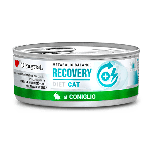 Disugual Metabolic Balance lata para gato Recovery (varios sabores)