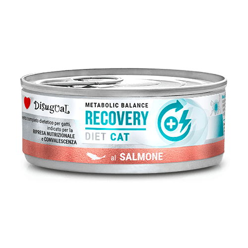 Disugual Metabolic Balance lata para gato Recovery (varios sabores)