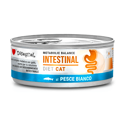 Disugual Metabolic Balance lata para gato Intestinal (varios sabores)